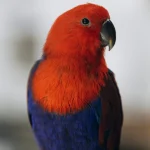 135A8560