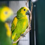 IMG_0480