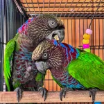 IMG_1110