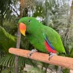 IMG_3732