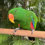 IMG_3733(1)